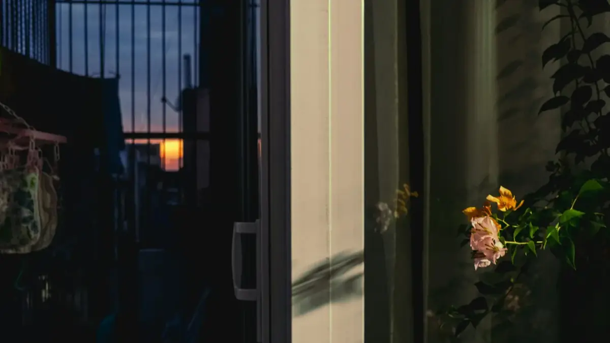 Sunset seen through a glass door with flowers.