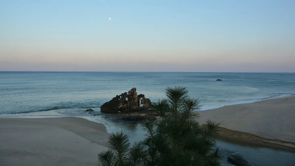 a view of the ocean from a beach