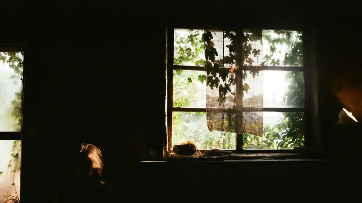 a window with a tree outside