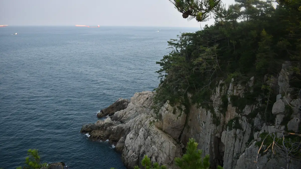 거제 바닷가 소나무 절벽과 잔잔한 바다